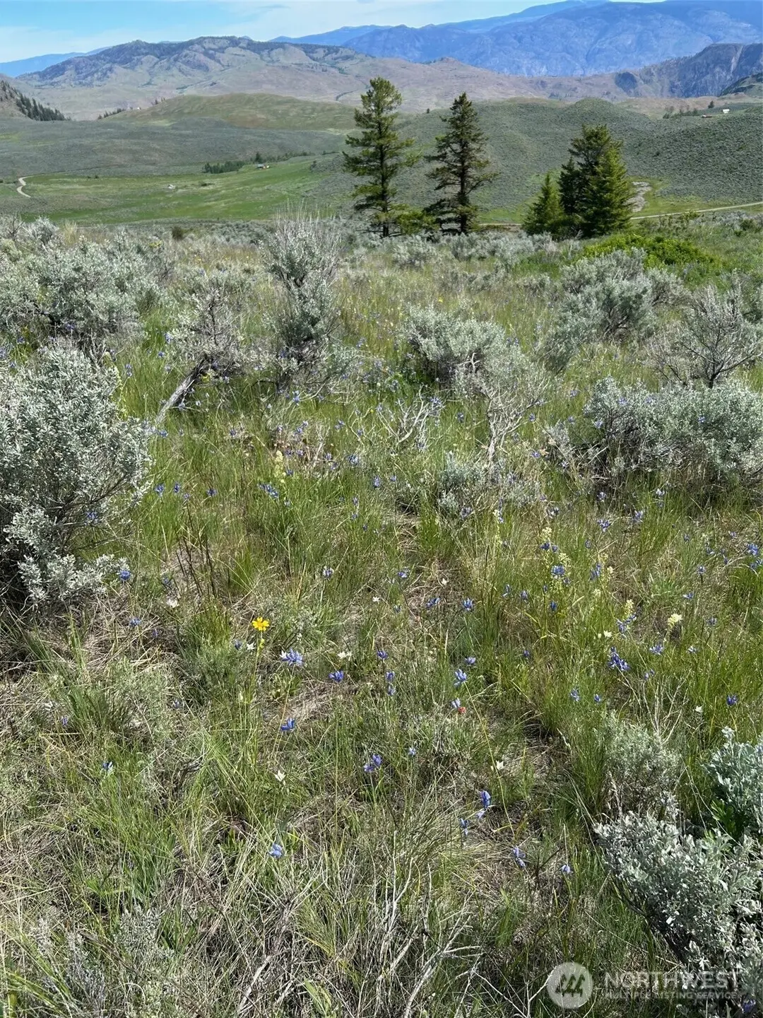 3 Tbd Ellemeham Mountain Road, Oroville, WA 98844 - #1