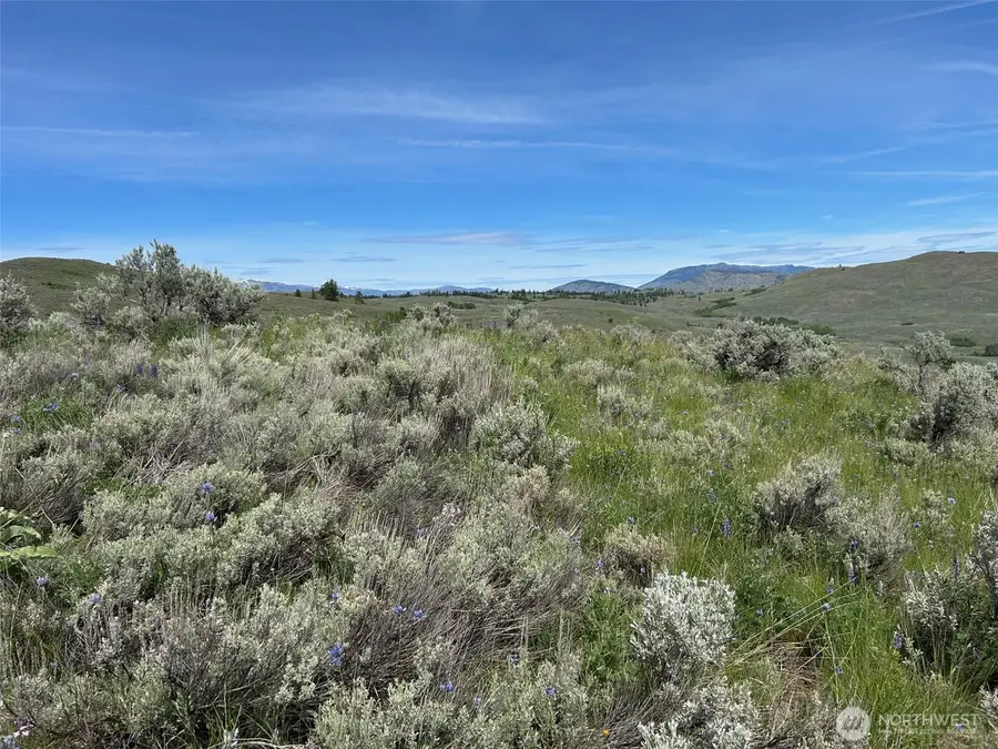 3 Tbd Ellemeham Mountain Road, Oroville, WA 98844 - #3