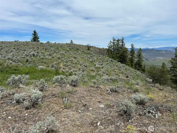 4 Tbd Ellemeham Mountain Road, Oroville, WA 98844