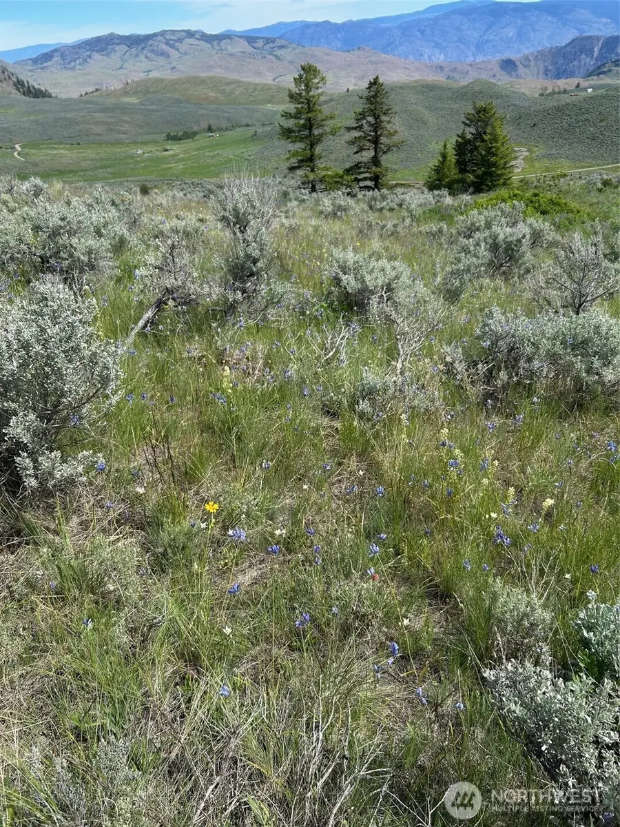 4 Tbd Ellemeham Mountain Road, Oroville, WA 98844 - #3