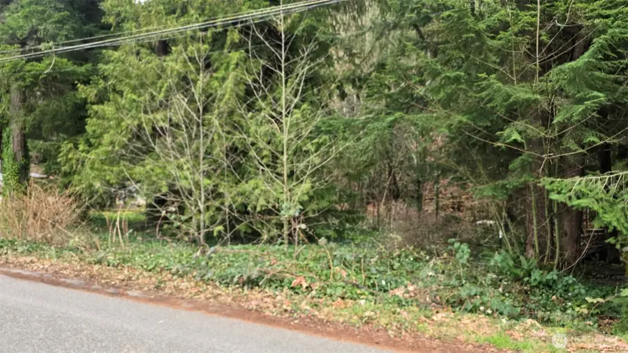 7884 Santa Fe Trail, Maple Falls, WA 98266 - #2