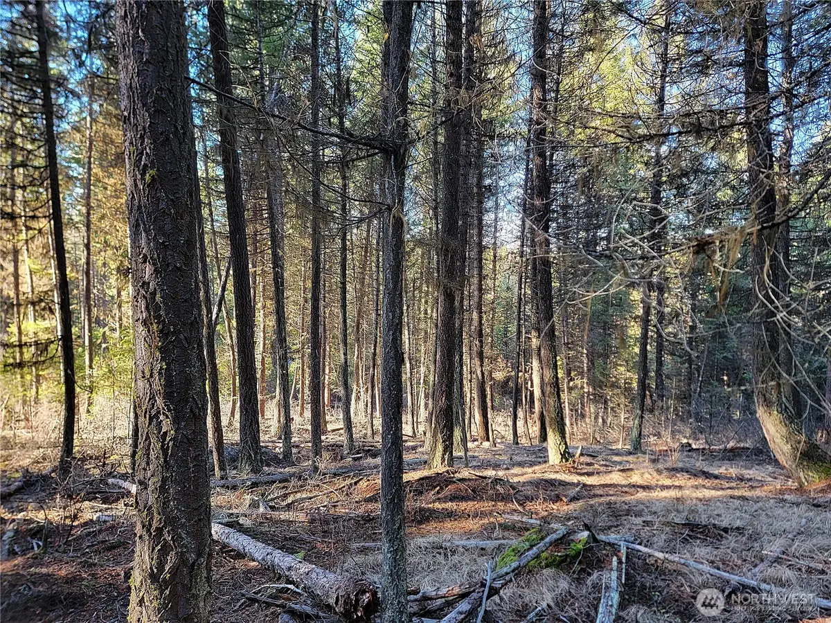 9999 Lundimo Meadows Road, Curlew, WA 99118 - #1