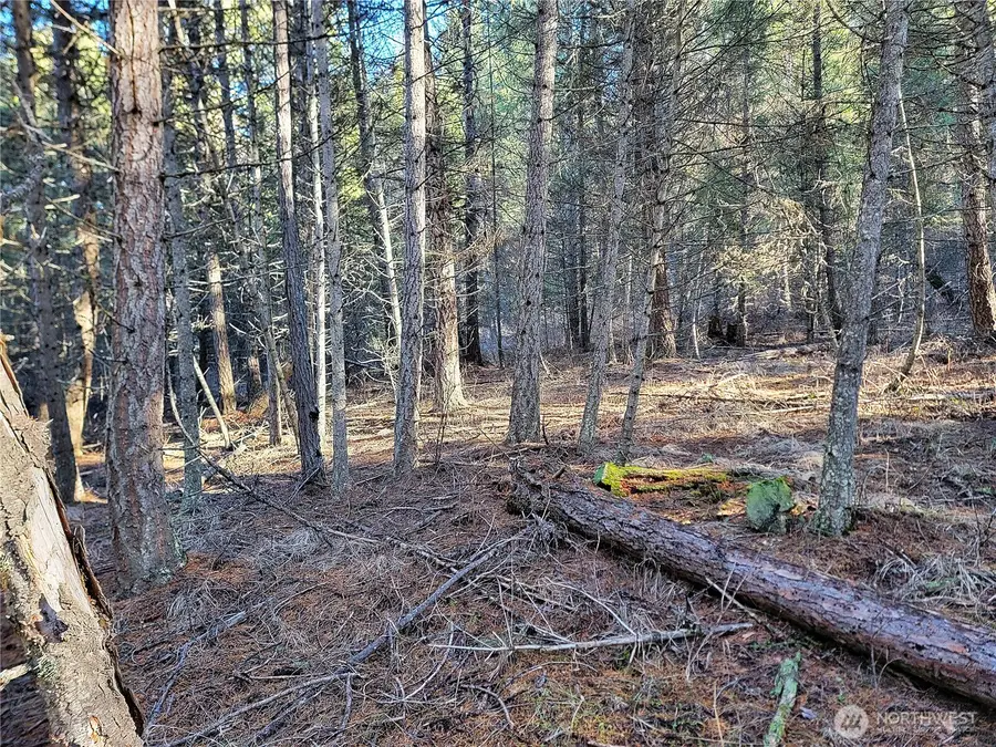 9999 Lundimo Meadows Road, Curlew, WA 99118 - #3