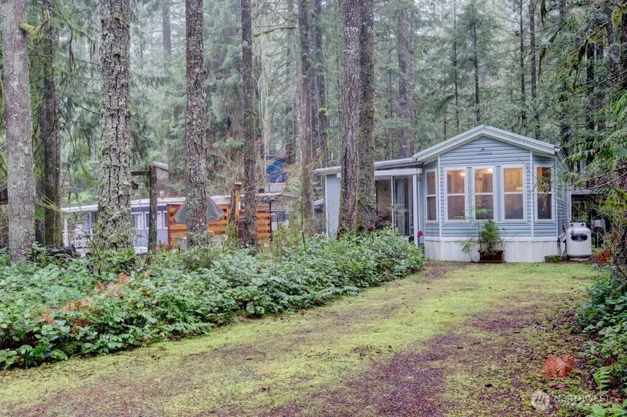 243 Schinn Canyon Court, Deming, WA 98244 - Image #3