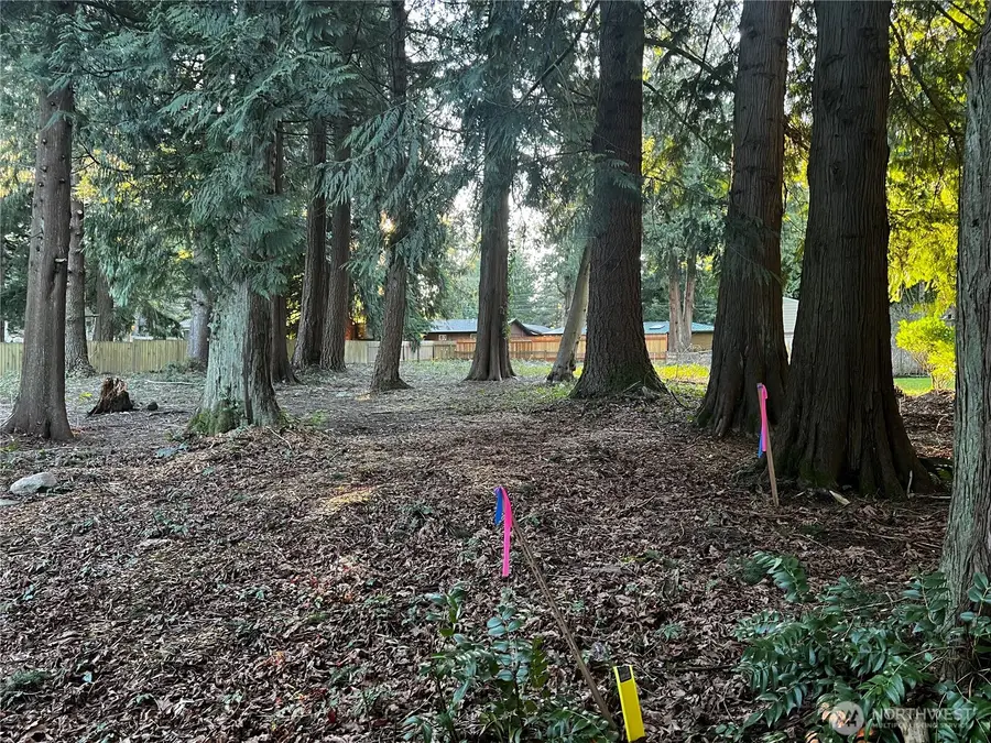 0 Forest View Drive #10, 11, 12, Bellingham, WA 98229 - #3