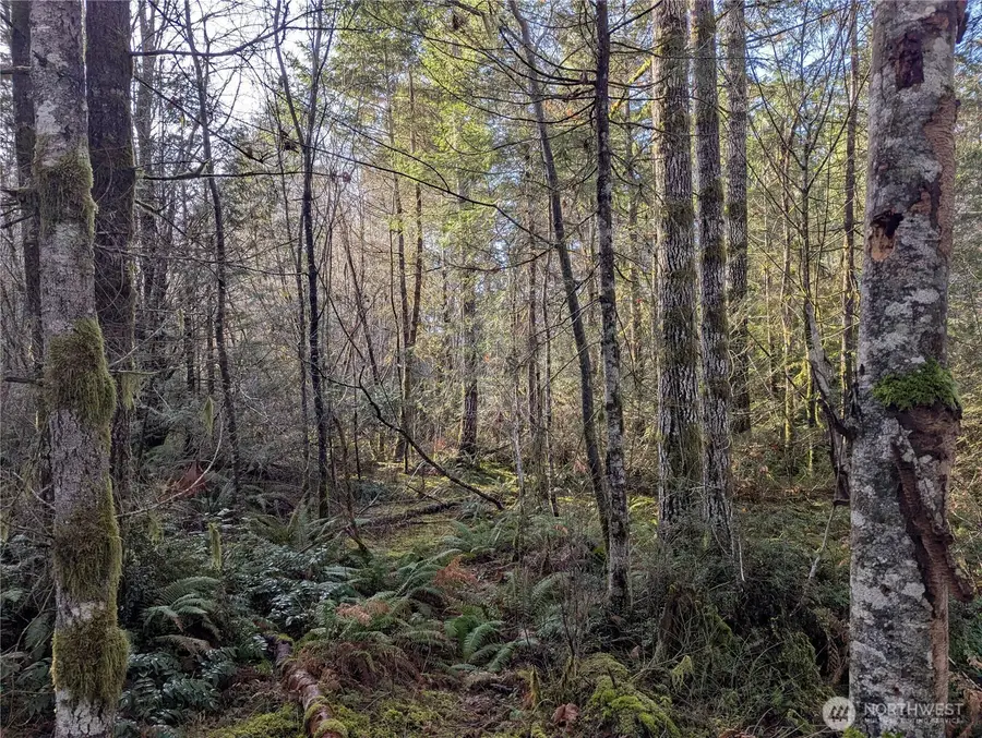 0 E Savage, Grapeview, WA 98546 - #2