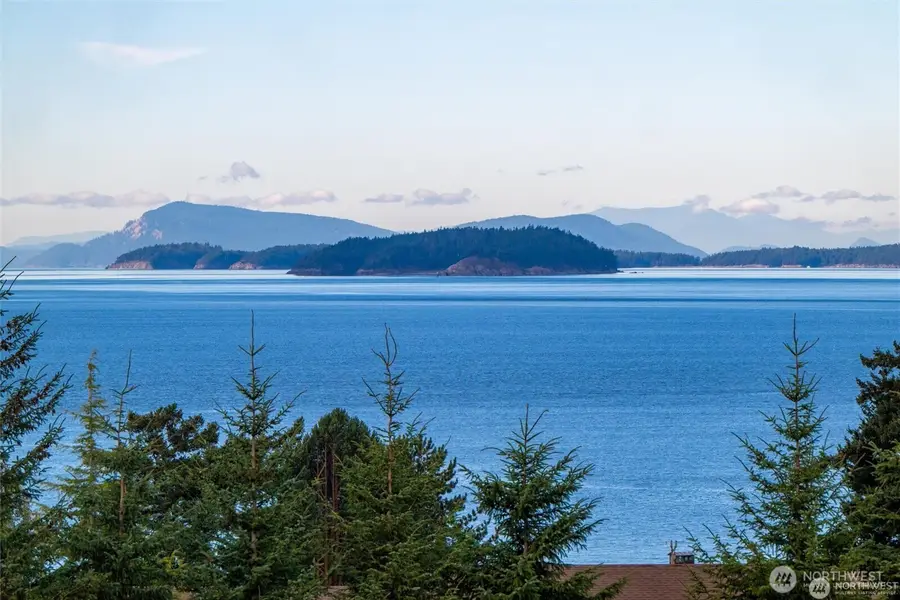 2383 W Shore Drive, Lummi Island, WA 98262 - #3