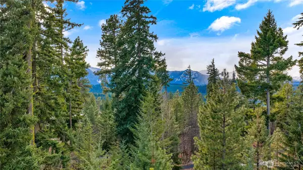 11 Red Sky Way #11, Cle Elum, WA 98922