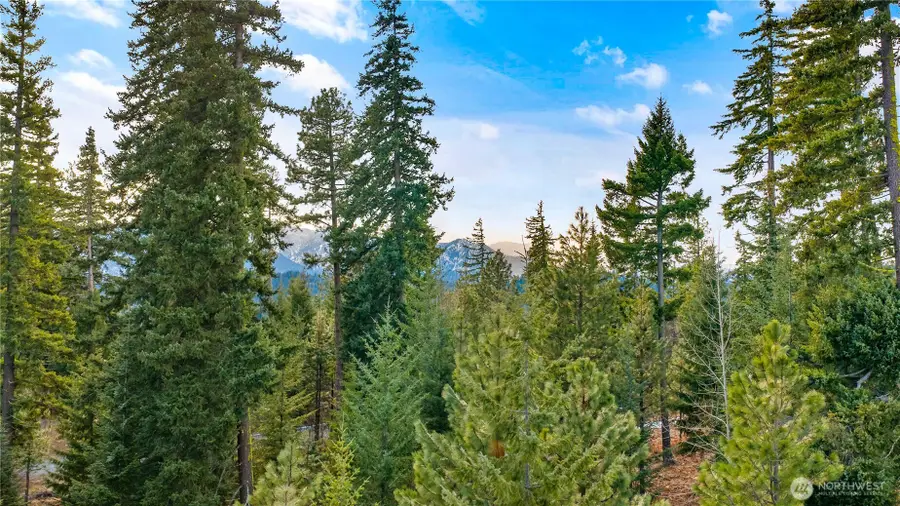 11 Red Sky Way #11, Cle Elum, WA 98922 - #2