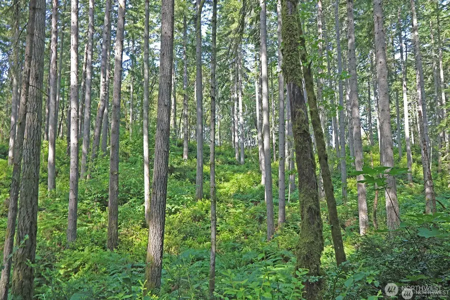 20825 Old Mill Road Sw, Vashon, WA 98070 - #2