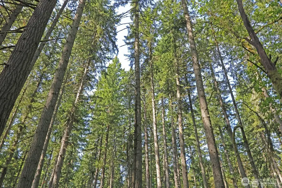 20825 Old Mill Road Sw, Vashon, WA 98070 - #3