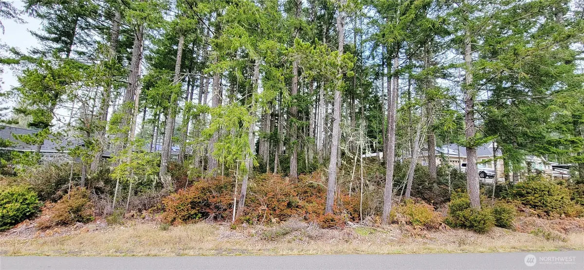 350 E Vine Maple Lane, Union, WA 98592 - #1