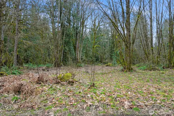 7738 Maple Drive #18, Maple Falls, WA 98266