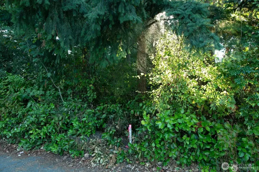 1111 1st Avenue Ne, Seattle, WA 98125 - #3