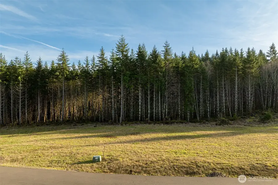 0 Silverwood Drive #F2, Castle Rock, WA 98611 - #2