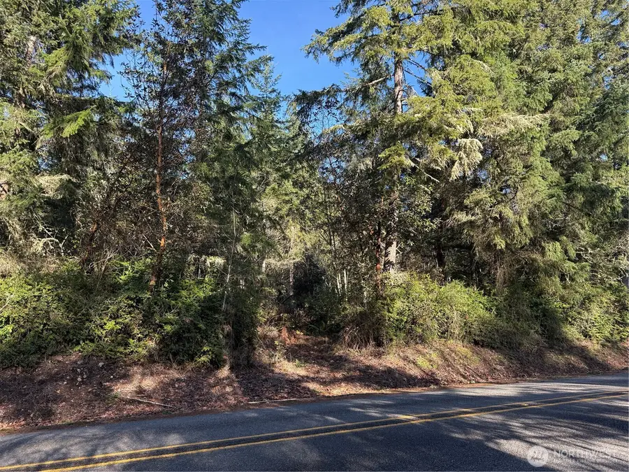 7515 Whiteman Road Sw #Lot3, Longbranch, WA 98351 - #2