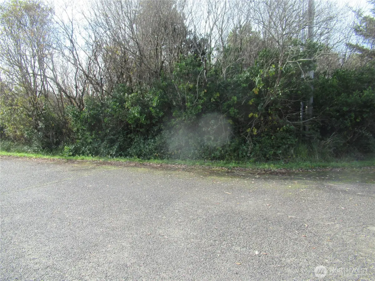 0 Driftwood Dr Drive, Ocean Shores, WA 98569 - #1