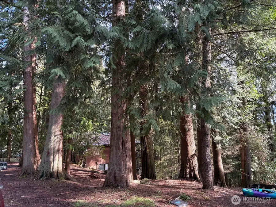 49 Deer Run Lane #14, Bellingham, WA 98229 - #2