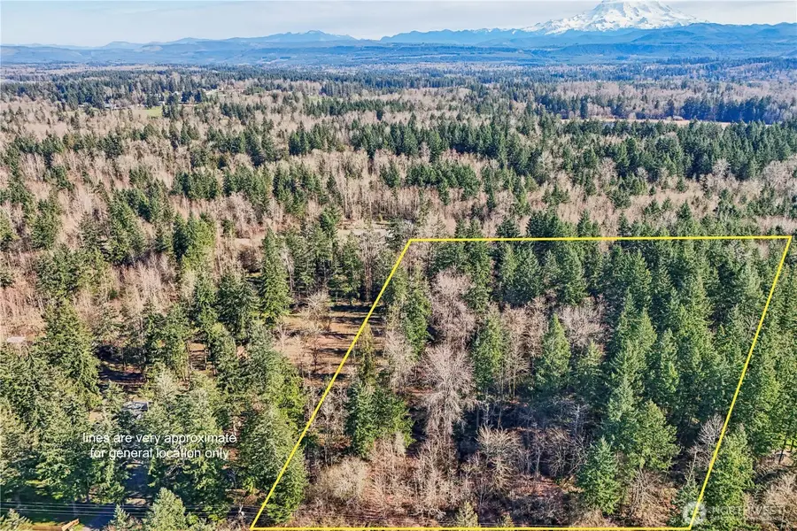 33507 84th Avenue E, Eatonville, WA 98328 - #2