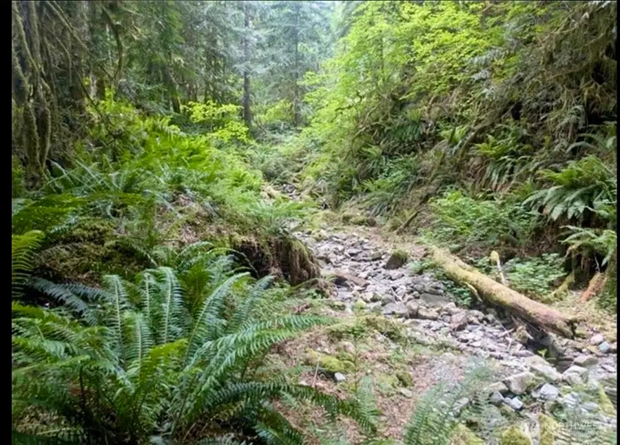 64315 Lookout Mountain Loop #169-171, Marblemount, WA 98267 - #2