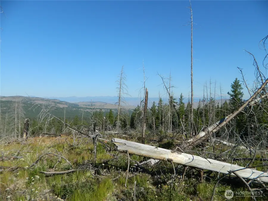 0 Tbd Stage Coach Trail #30-31, Riverside, WA 98849 - #2