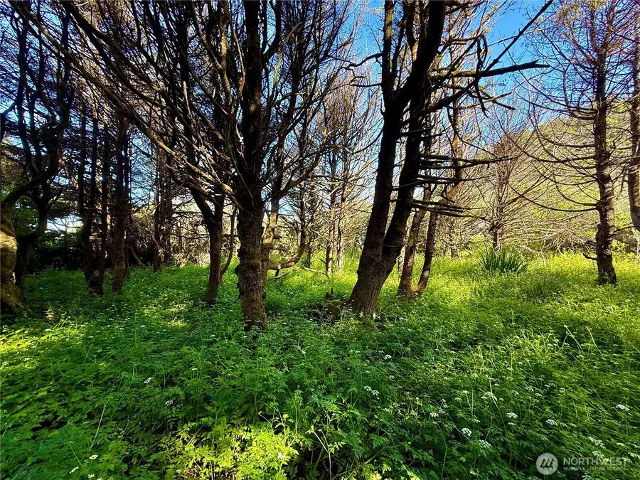 3 Roosevelt Beach Road #3, Pacific Beach, WA 98571 - #3