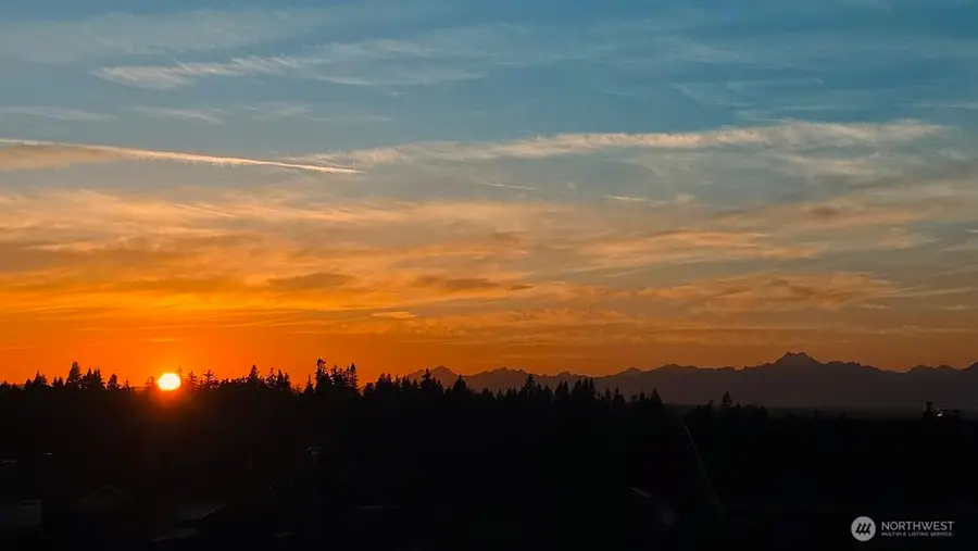 9232 21st Avenue Nw, Seattle, WA 98117 - #3