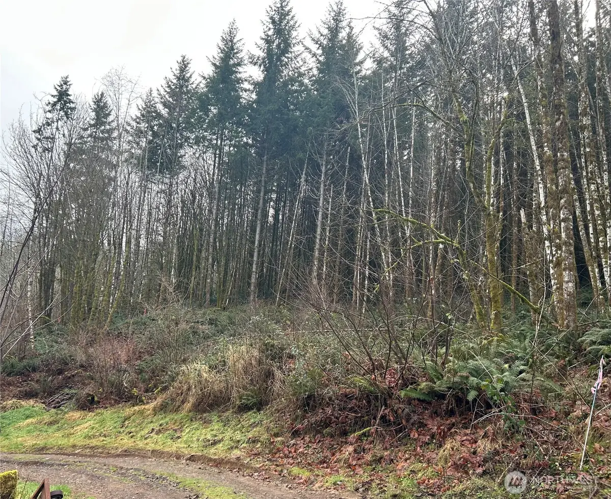 514 Berry Rd, Winlock Pe Ell, WA 98532 - #1