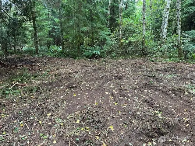 7988 Bethel Burley Road Se, Port Orchard, WA 98367 - #1