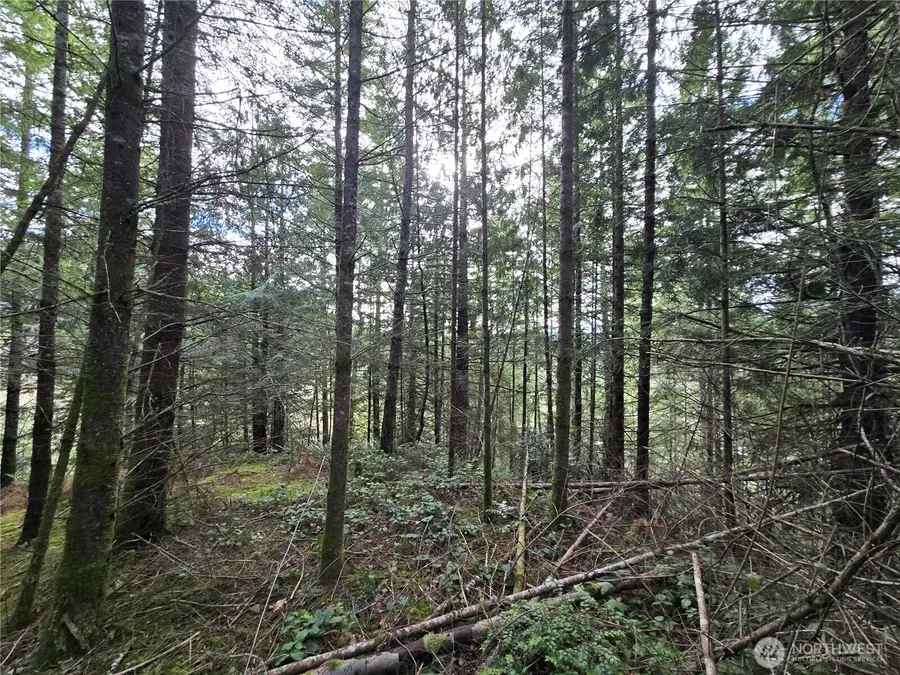 216 Bond Road Ne, Poulsbo, WA 98370 - #3