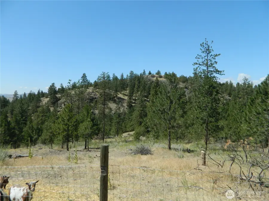 198 Antwyne Lane, Tonasket, WA 98855 - #3