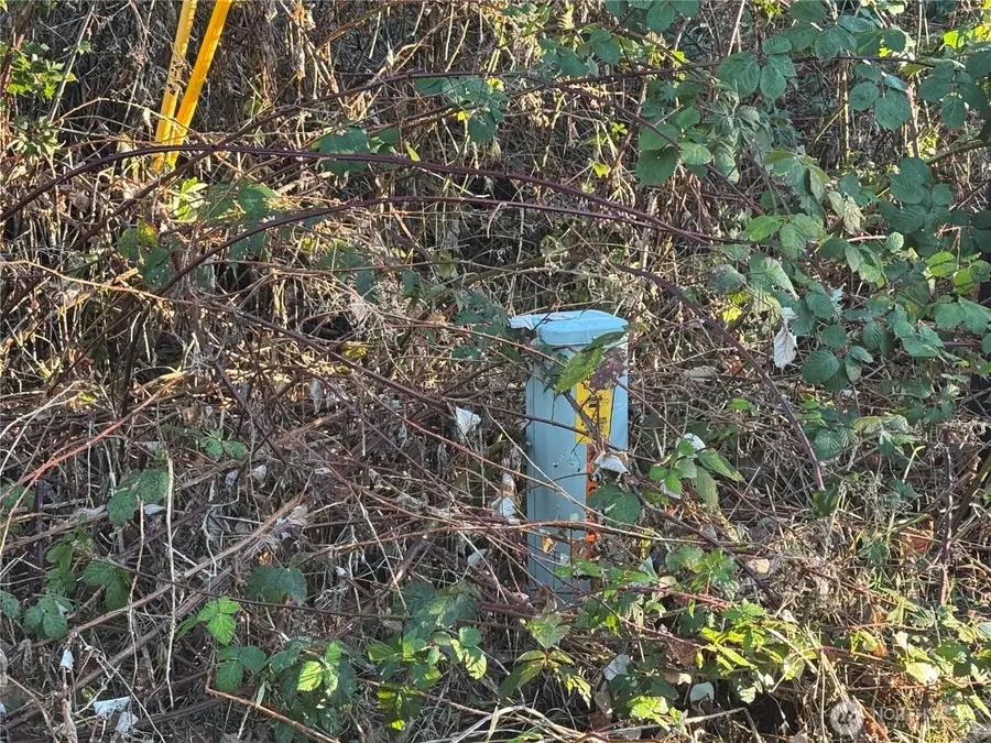 31319 555th Street E #70, Ashford, WA 98304 - #3