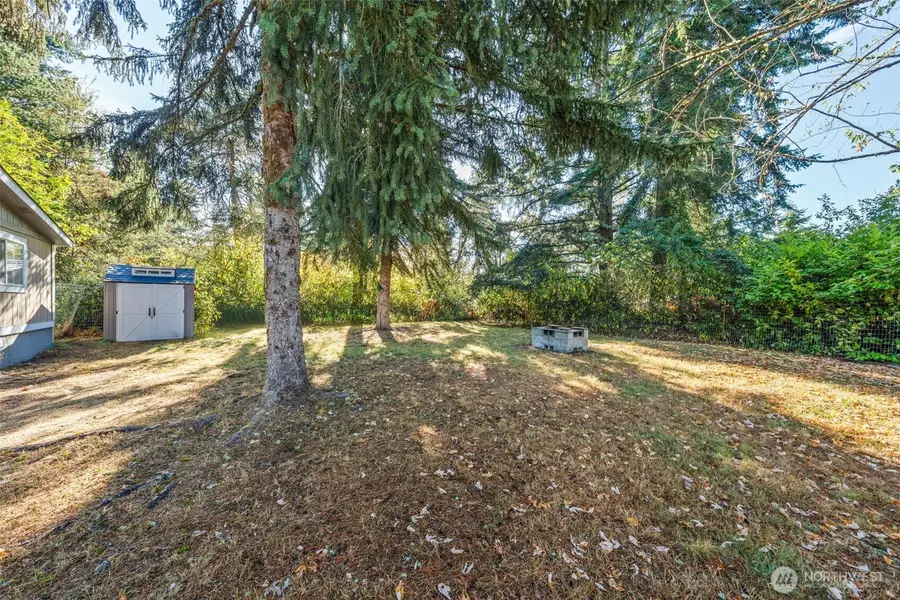 8517 Thuja Avenue Se, Yelm, WA 98597 - #2