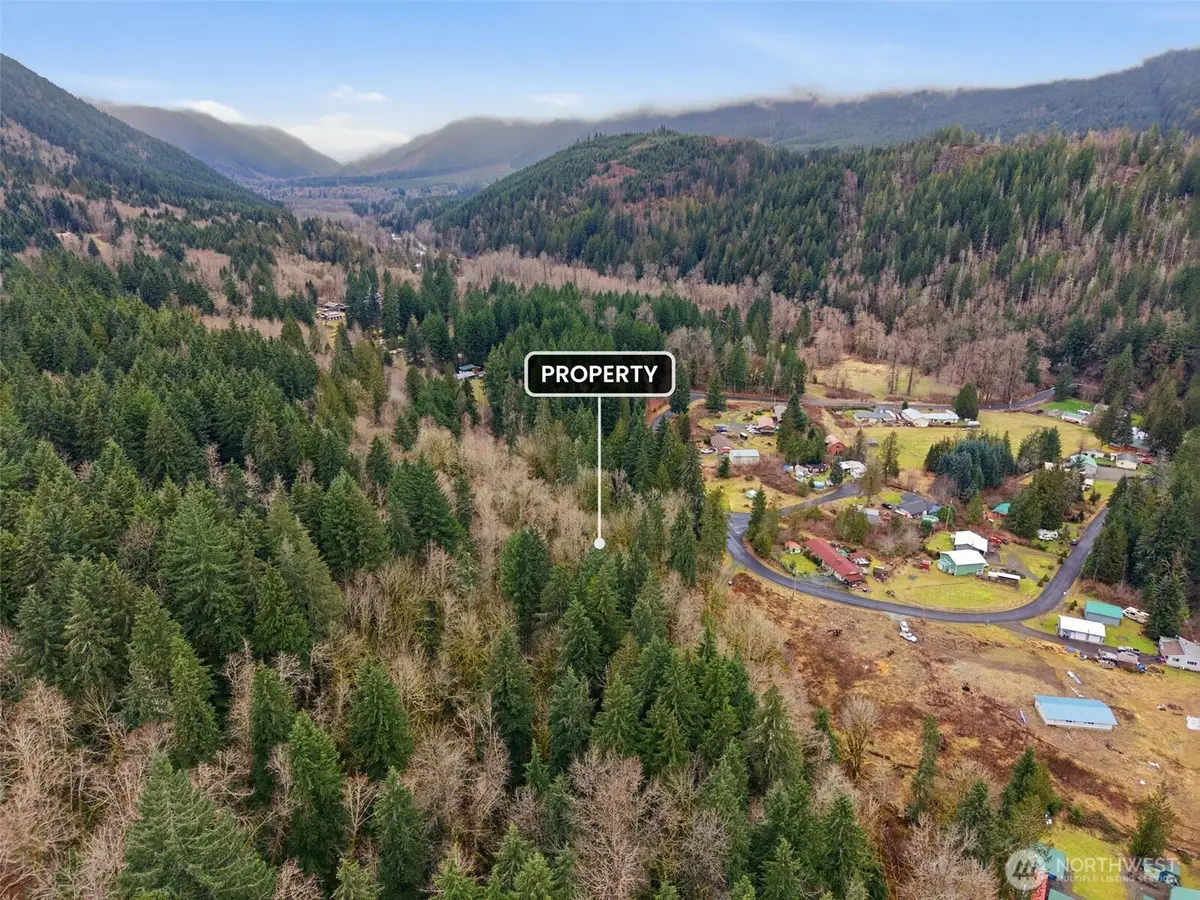 134 Tilton Drive #Parcel B-BLA 031-, Morton, WA 98356 - #1