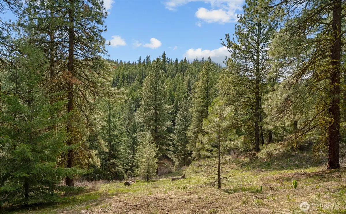 0 Skull Springs Road #78, Cle Elum, WA 98922 - #1