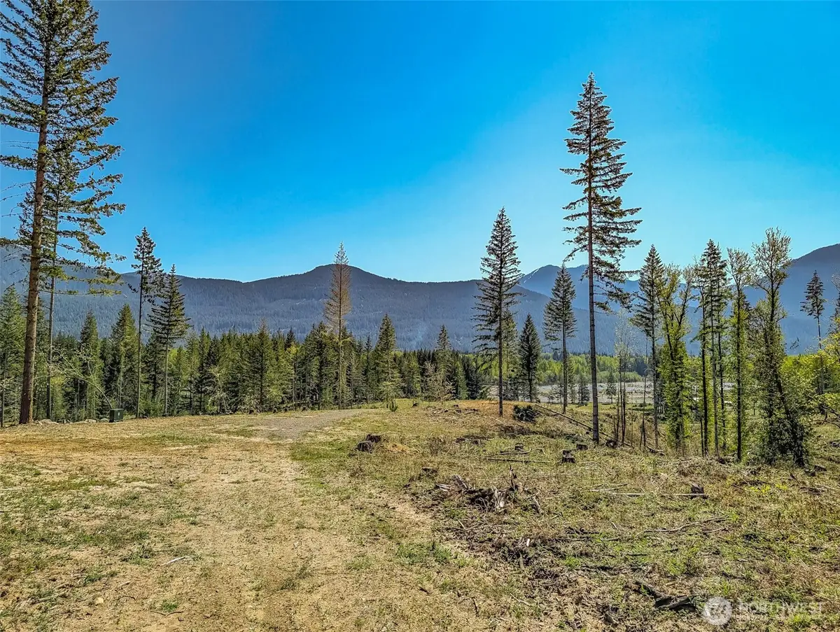 0 Craig Road, Packwood, WA 98361 - #1