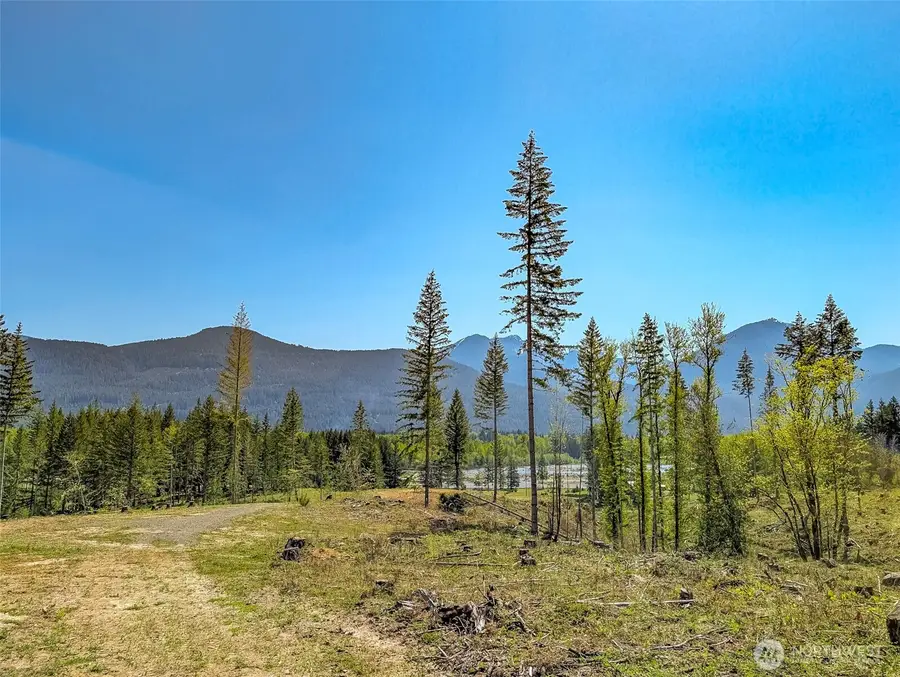 0 Craig Road, Packwood, WA 98361 - #3