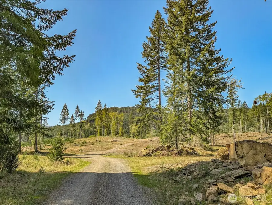0 Craig Road, Packwood, WA 98361 - #3