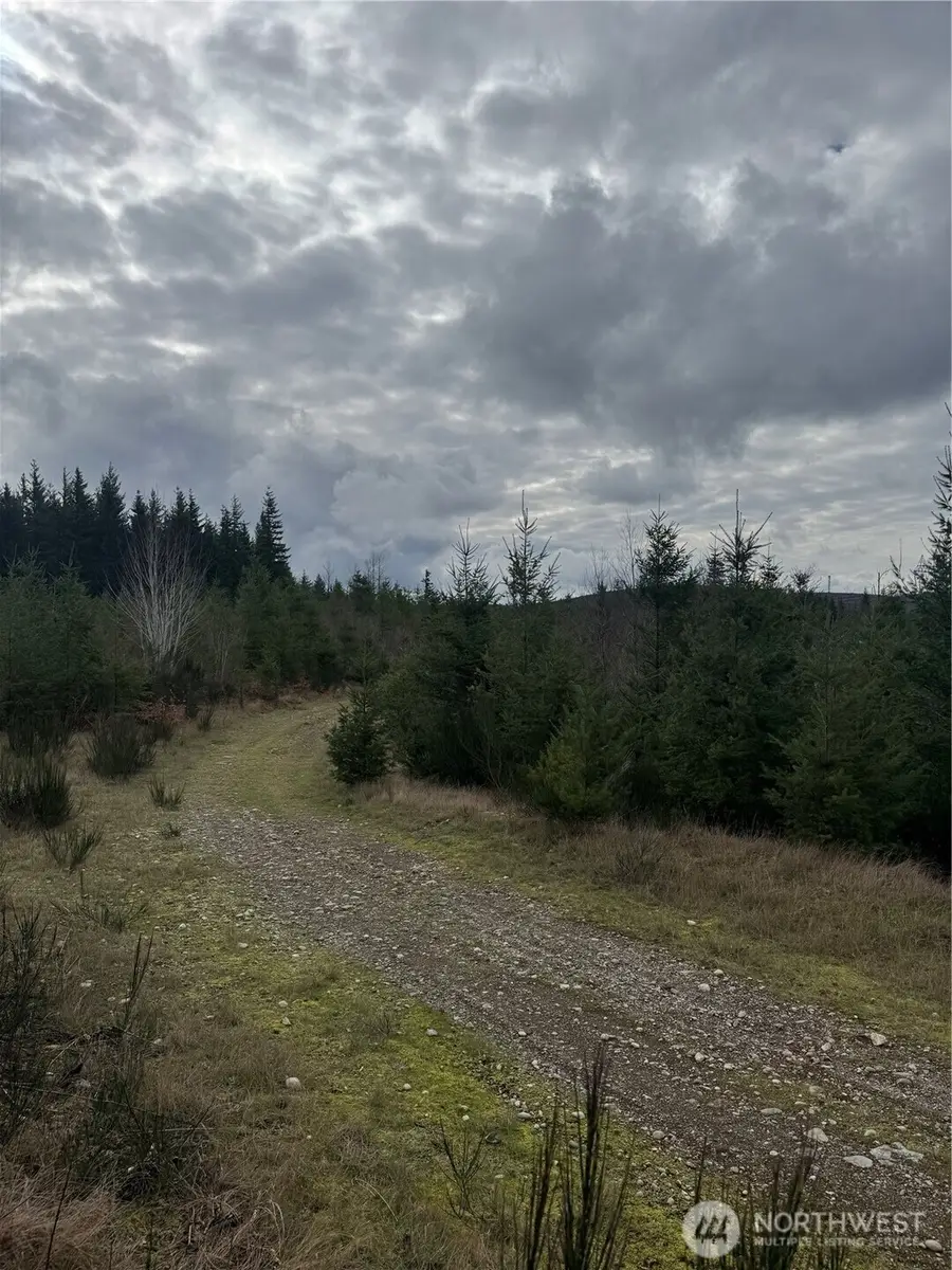 31101 SE Retreat-kanaskat Road, Ravensdale, WA 98051 - #3