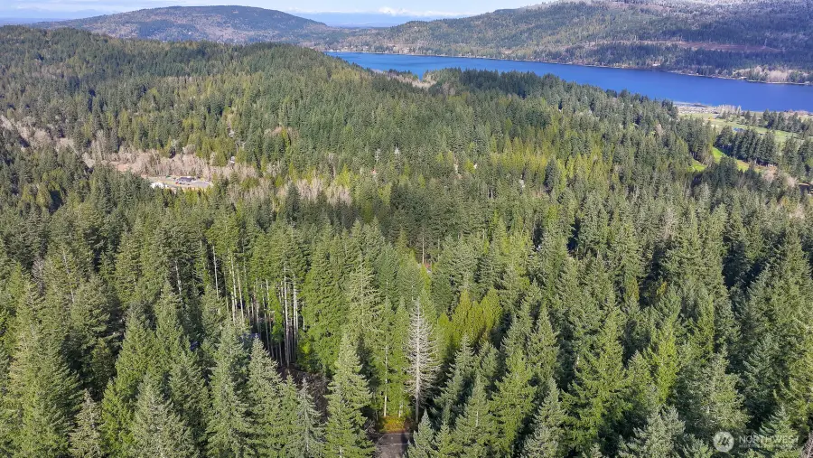 21 Bramble Way #16, Bellingham, WA 98229 - #2