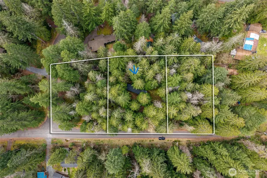 56514 383rd Avenue Ct E, Ashford, WA 98304 - #2