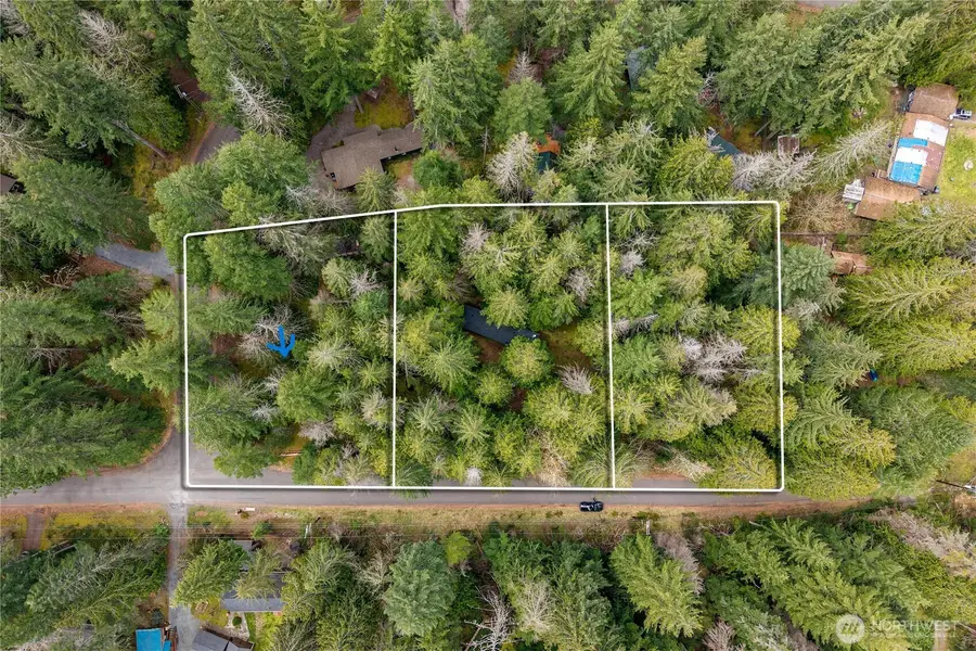 38313 566th Street Ct E #5, Ashford, WA 98304 - #2