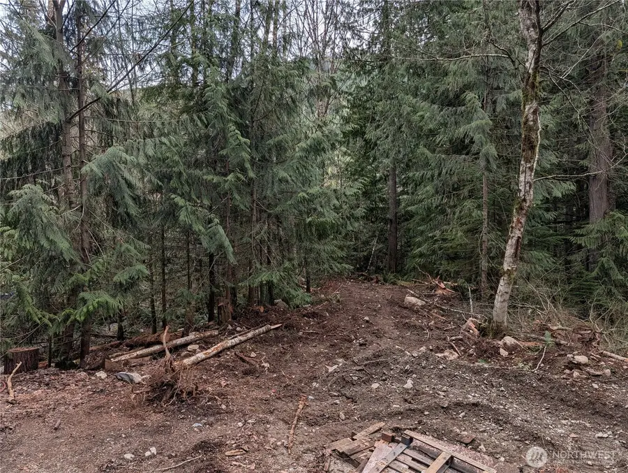 64062 Cascade River Rd, Marblemount, WA 98267 - #2