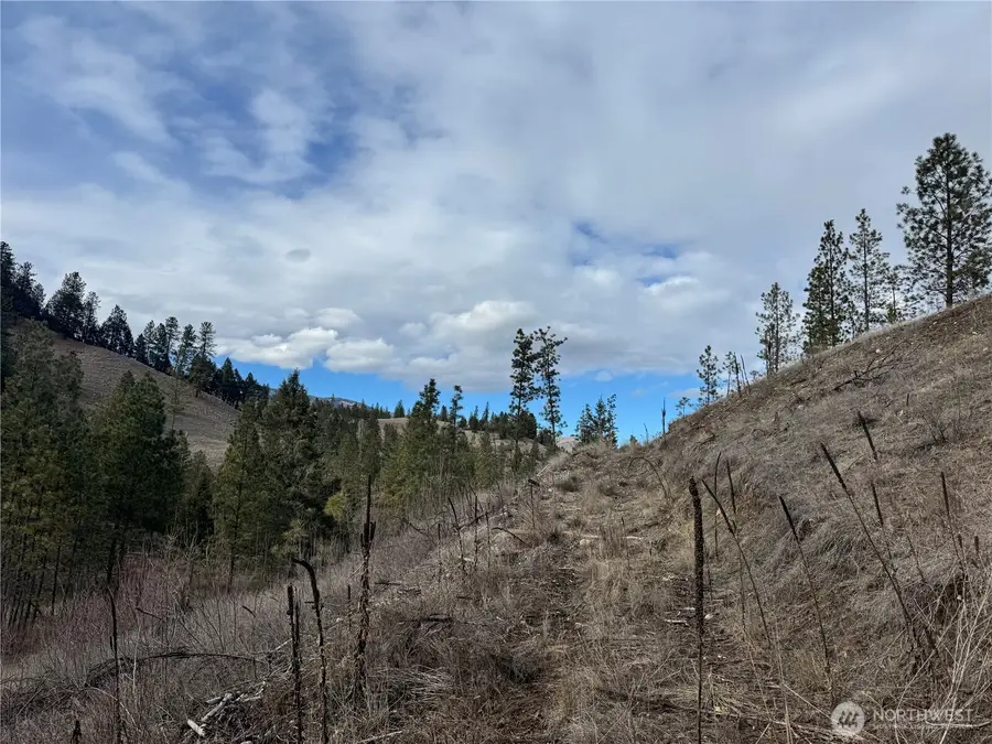 6 Tbd Lundimo Meadows #6, Curlew, WA 99118 - #2