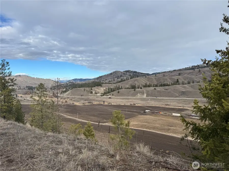 6 Tbd Lundimo Meadows #6, Curlew, WA 99118 - #3