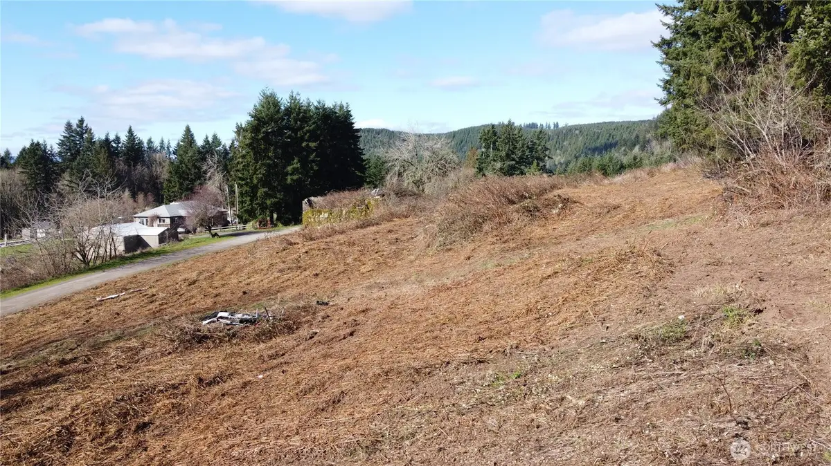 0 Lenora Lane, Kelso, WA 98626 - #1