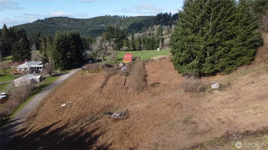 0 Lenora Lane, Kelso, WA 98626 - #2
