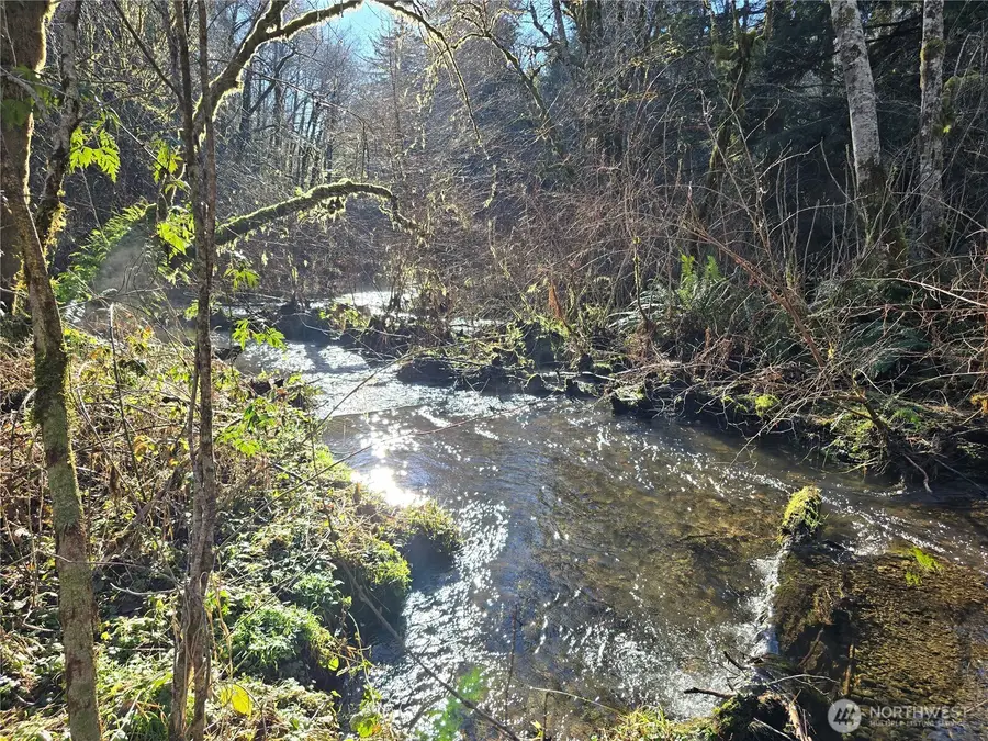 1531 W Ford Road, Matlock, WA 98560 - #2