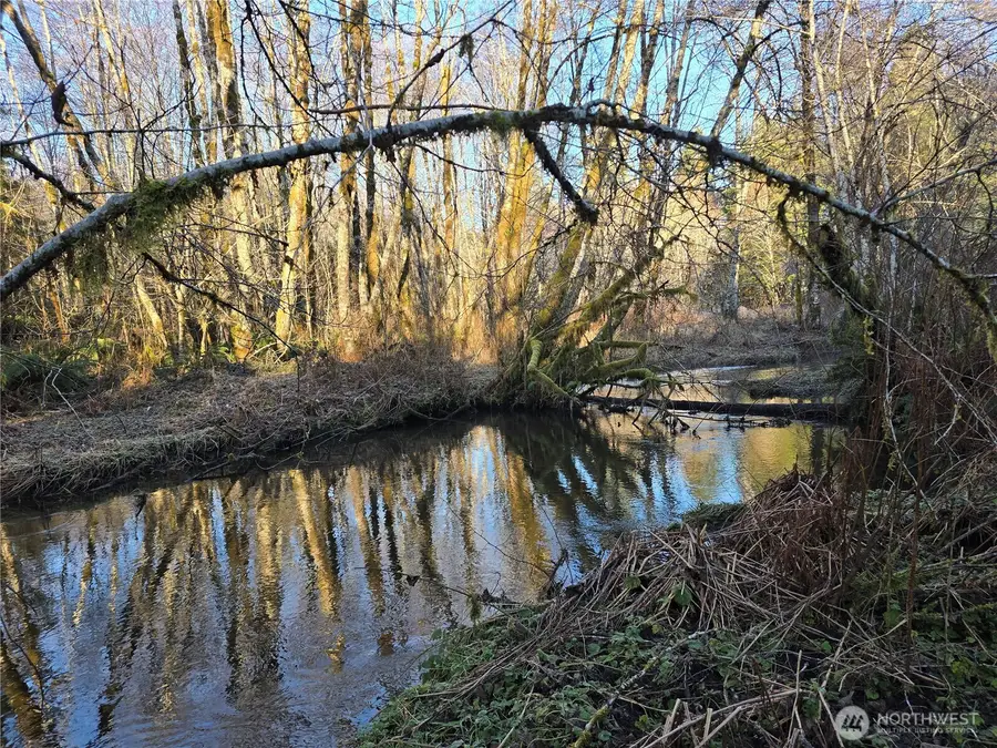 1531 W Ford Road, Matlock, WA 98560 - #3