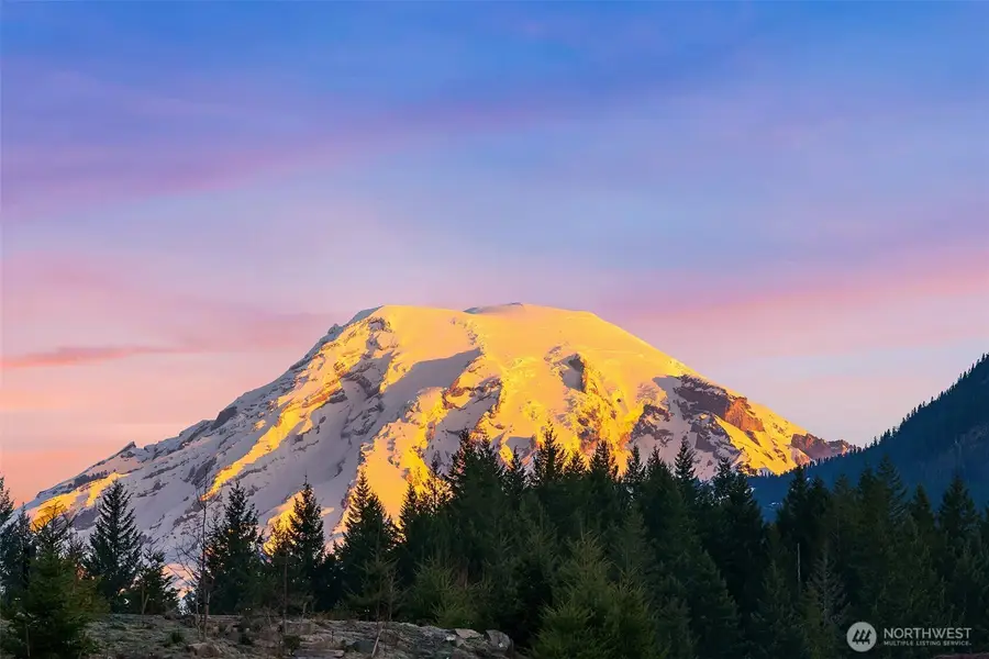 126 Burl Lane, Packwood, WA 98361 - #3